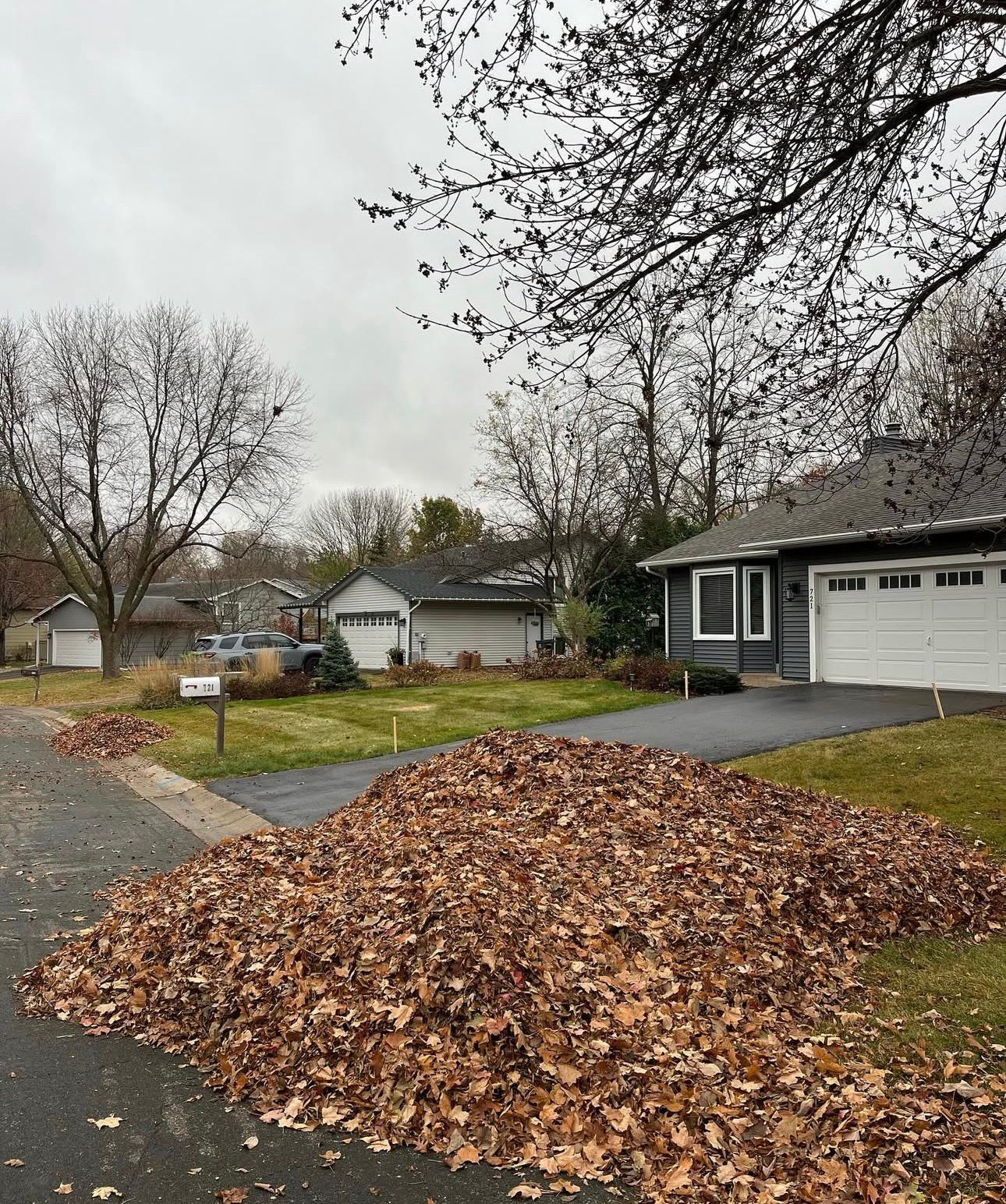 Fall leaf pile collected at the curb after a complete Kitchener property cleanup