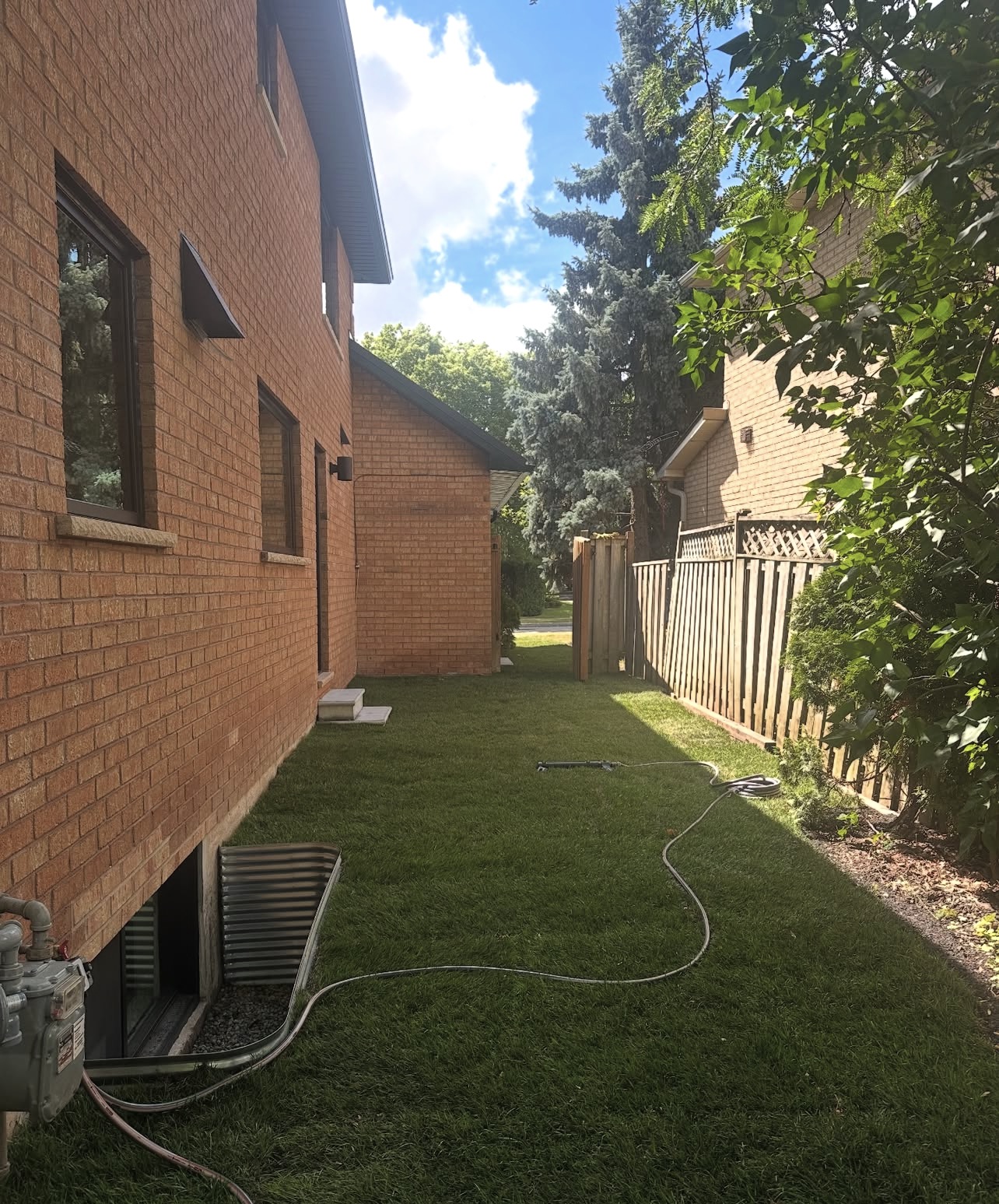 Fresh Sod Side Yard Reset