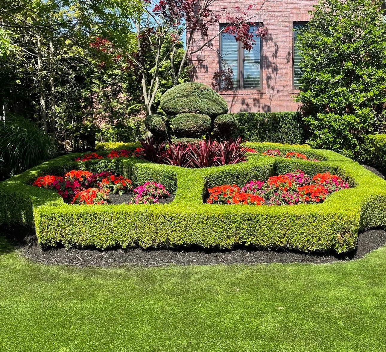Sculpted boxwood hedge with topiary centrepiece on a Waterloo property