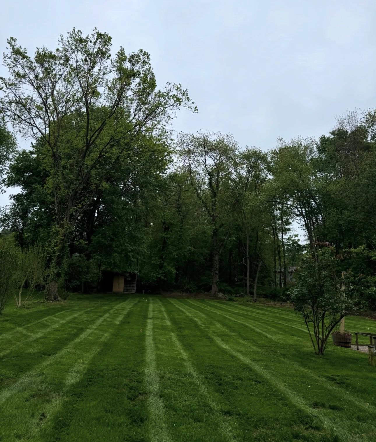 Healthy backyard lawn with clean mowing lines in Waterloo