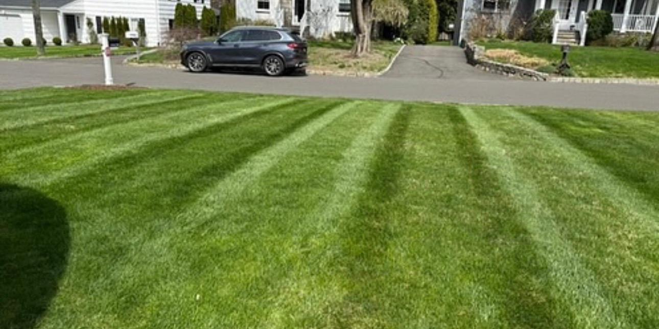 Perfect mow stripes on a Tri-City residential front lawn